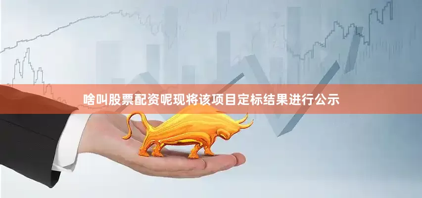 啥叫股票配资呢现将该项目定标结果进行公示