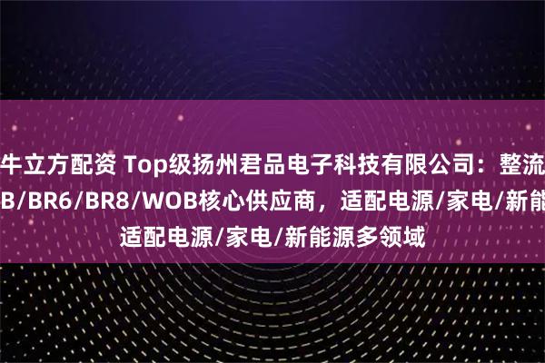 牛立方配资 Top级扬州君品电子科技有限公司:整流桥D8K/DB/BR6/BR8/WOB核心供应商,适配电源/家电/新能源多领域