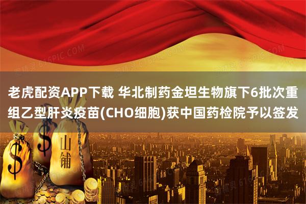 老虎配资APP下载 华北制药金坦生物旗下6批次重组乙型肝炎疫苗(CHO细胞)获中国药检院予以签发
